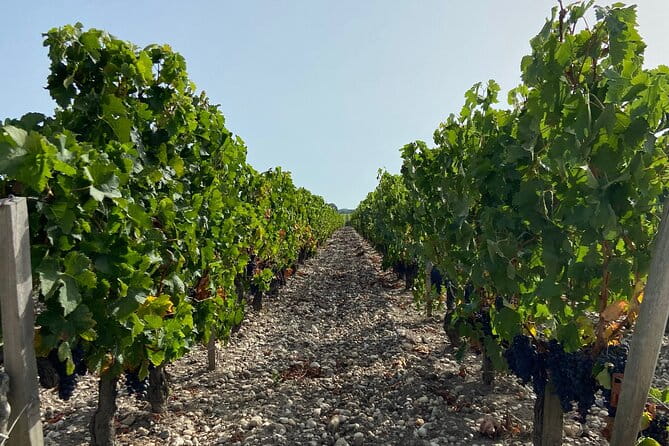 Saint Emilion Castle and Village Wine Tour - Final Thoughts