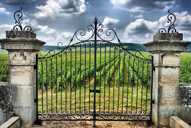 Saint Emilion Day Trip With Sightseeing Tour & Wine Tastings From Bordeaux - Free Time in Saint-Emilion