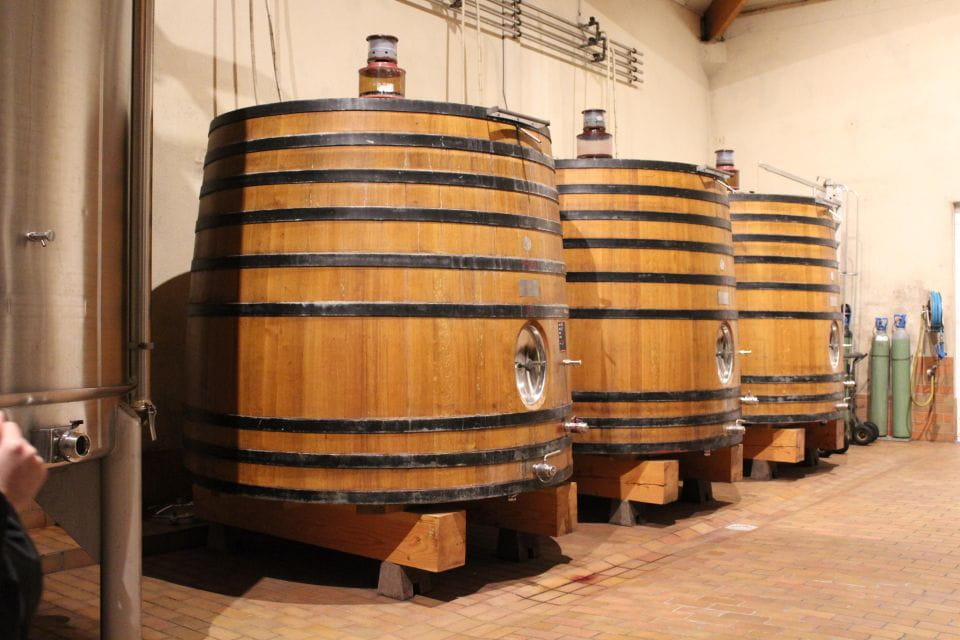 Saint Emilion Half Day Ebike and Wine Tour With Picnic - Frequently Asked Questions