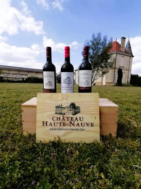 Saint-Emilion : Tasting of 4 wines in a family vineyard - The Tasting Itinerary: What You Can Expect
