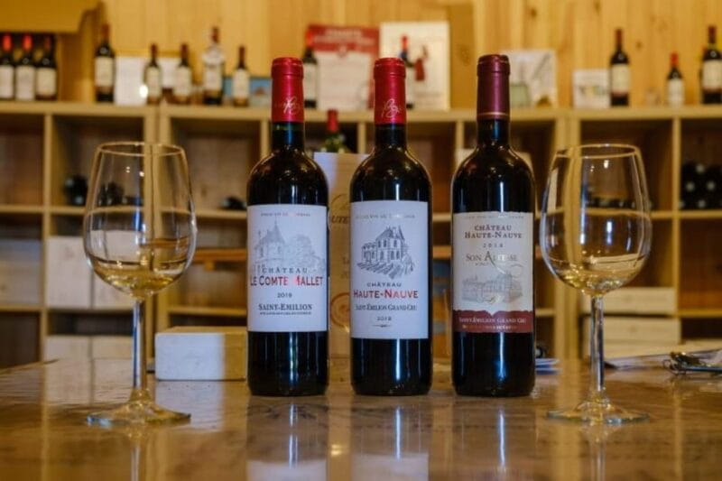 Saint-Emilion : Tasting of 4 wines in a family vineyard - Who Should Consider This Experience?