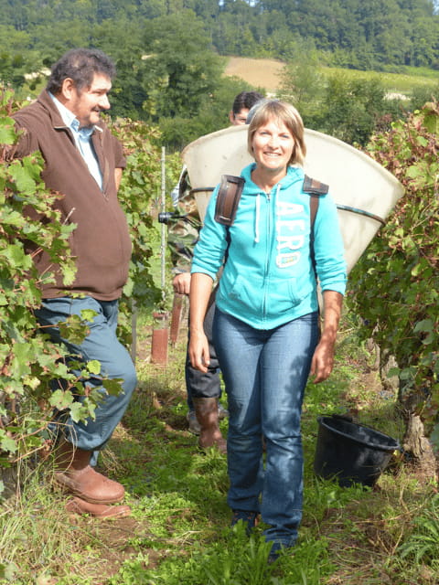 Saint-Emilion : Tasting of 4 wines in a family vineyard - The Sum Up: Why This Tasting Is a Gem