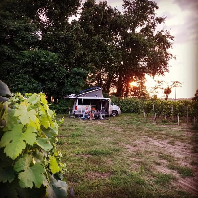 Saint-Emilion : Tasting of 4 wines in a family vineyard - FAQ