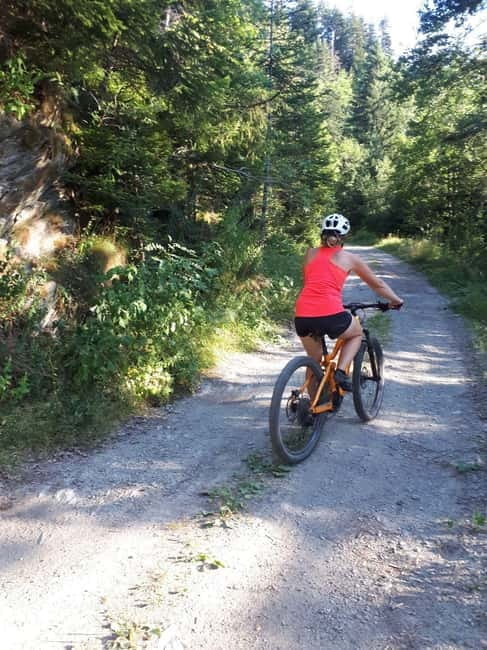 Saint-Georges d'Hurtières: Guided electric mountain bike tour (Enduro) - Key points / Takeaways