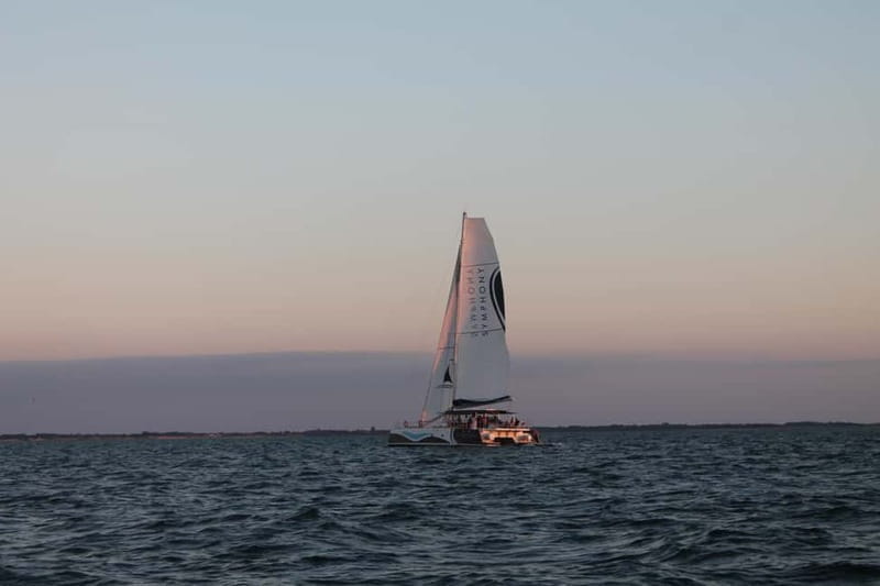 Saint-Martin-de-Ré : Sunset Catamaran Cruise (2h00) - Who Should Consider This Cruise