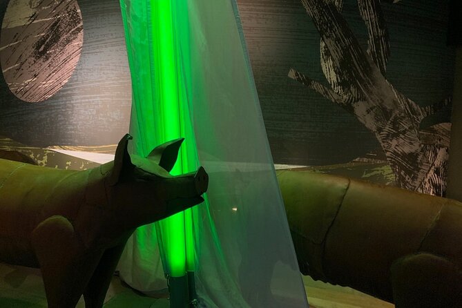 Saint Patrick Centre Exhibition Experience - Visitor Reviews