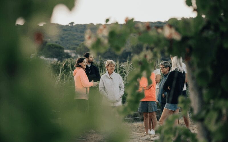 Saint-Tropez: Small Group Wine Tour - Transportation, Group Size, and Practicalities