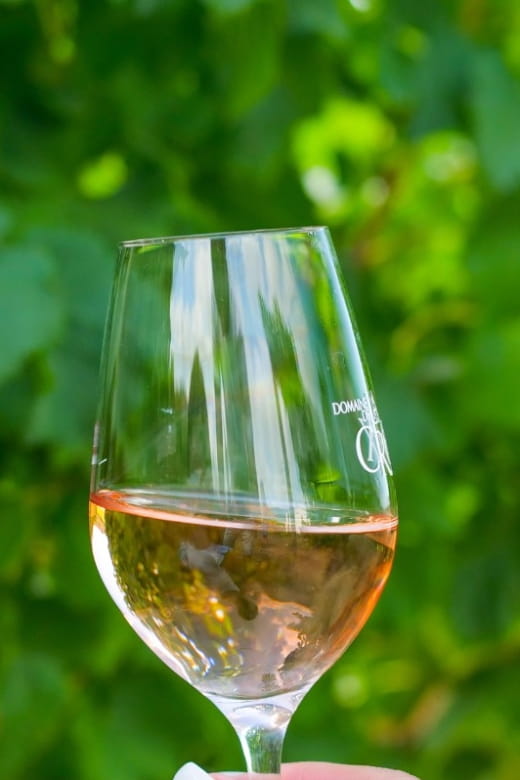 Saint-Tropez: Small Group Wine Tour - FAQ