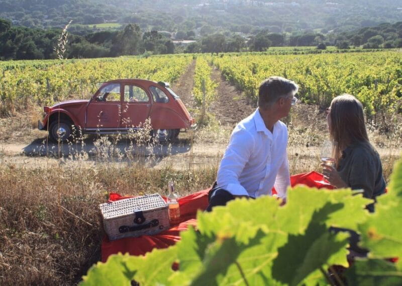 Saint-Tropez: Vintage Car Wine Tour - Key Points / Takeaways
