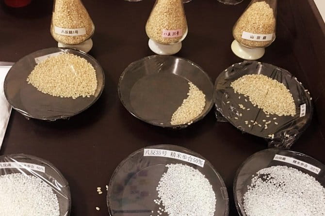 Sake Town Tour in Saijo Hiroshima - Age Requirement