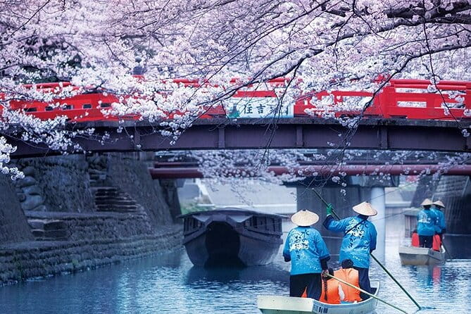 Sakura 1 Day Tour With Charter Train and Boat From Nagoya - Key Points