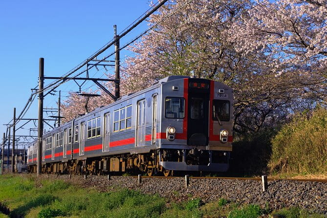 Sakura 1 Day Tour With Charter Train and Boat From Nagoya - Booking Information