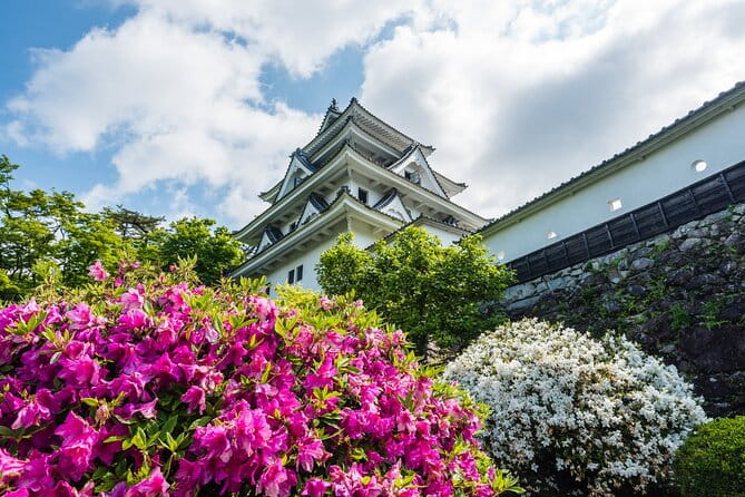 Sakura 1 Day Tour With Charter Train and Boat From Nagoya - Meeting Point and Start Time