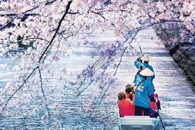 Sakura 1 Day Tour With Charter Train and Boat From Nagoya - Recommendations and Additional Notes