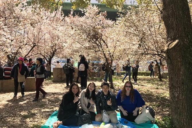 Sakura Picnic Hanami in Osaka - Spring Only - Whats Included in the Experience