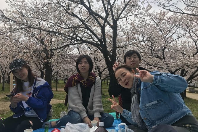 Sakura Picnic Hanami in Osaka - Spring Only - Pricing and Availability