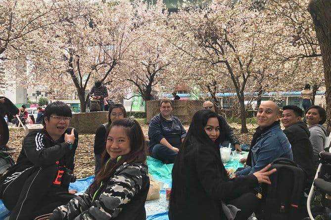 Sakura Picnic Hanami in Osaka - Spring Only - Tips for Enjoying Your Sakura Picnic