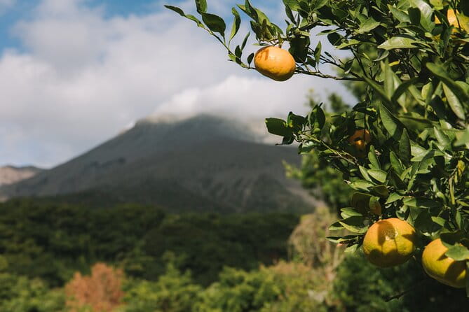 Sakurajima Blessings of the Earth Ride - Meeting and Pickup