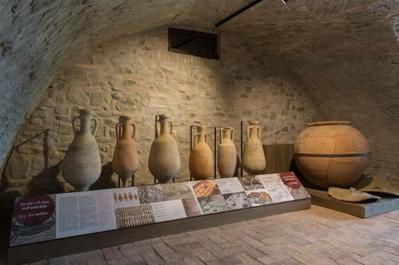 Sala Baganza: Wine Museum Ticket - Key Points / Takeaways