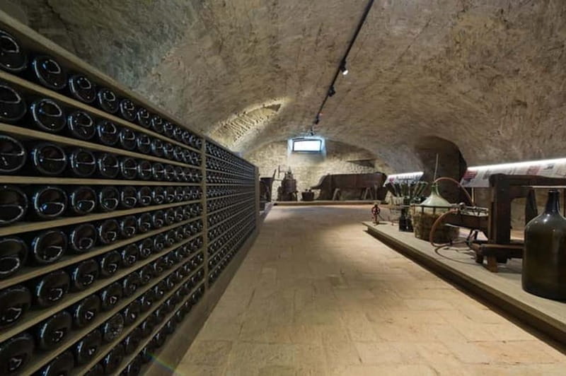 Sala Baganza: Wine Museum Ticket - Exploring the Sala Baganza Wine Museum: A Complete Guide