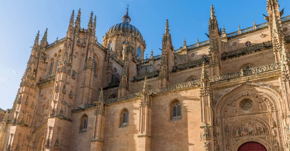 Salamanca: Cathedral of Salamanca Ticket With Audio Guide - Cathedral Features and Artistry