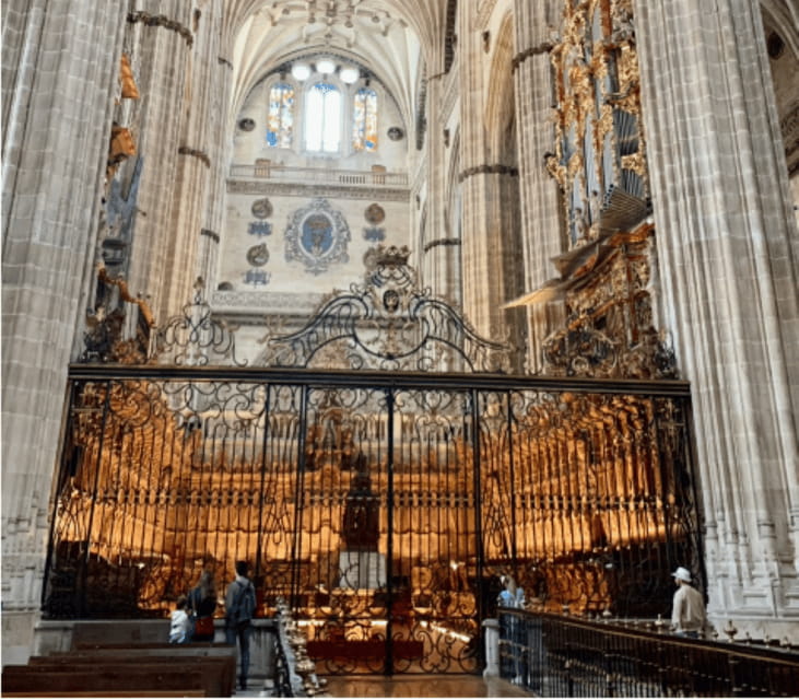 Salamanca Genial Tour privado - Introduction to Salamanca’s UNESCO World Heritage Status