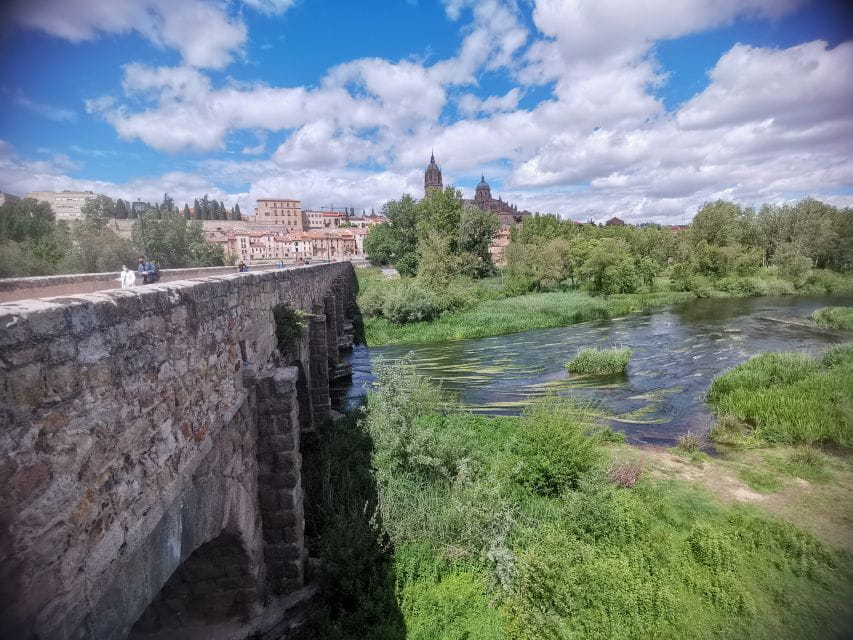 Salamanca: Monuments and Landmarks Guided Walking Tour - Languages Offered
