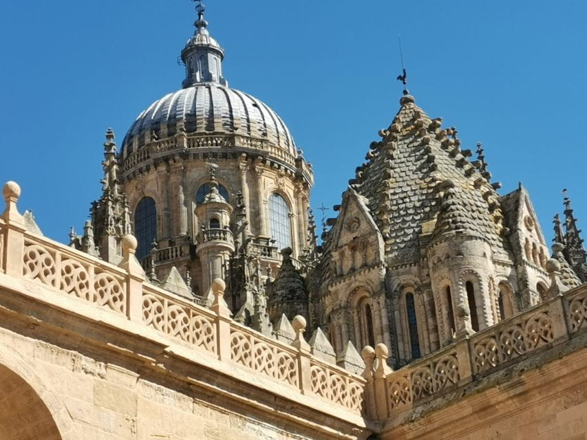 Salamanca: Monuments and Landmarks Guided Walking Tour - Customer Feedback and Ratings