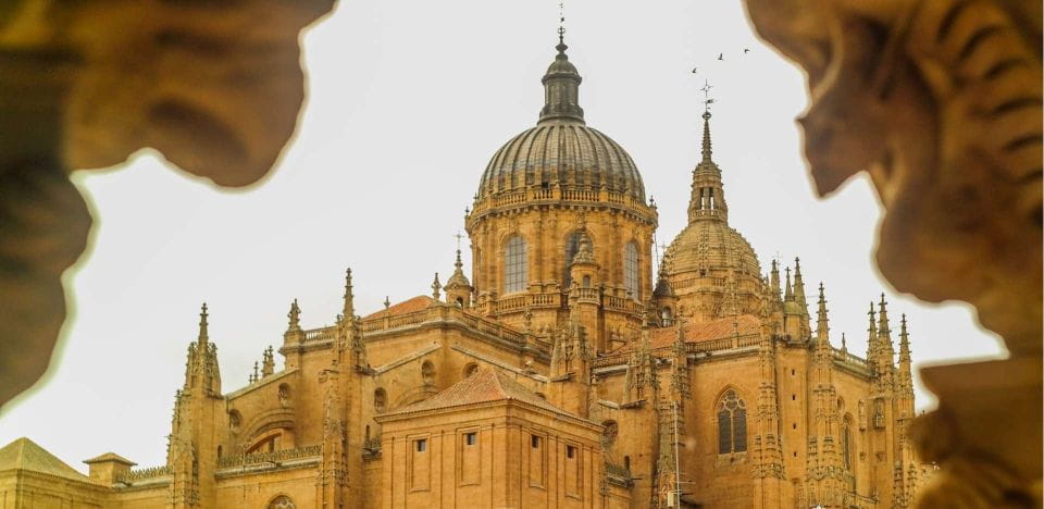 Salamanca: Private Guided Customizable Walking Tour - Things To Know