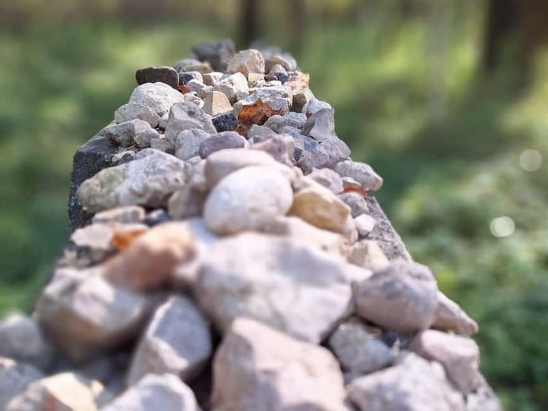 SALASPILS: Private tour to Salaspils and Rumbula Memorials - Price and Value