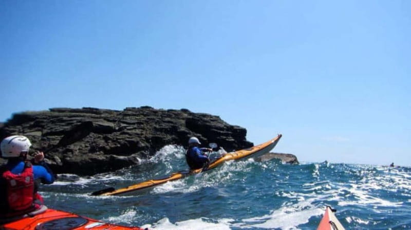 Salcombe: Estuary Explorer Sea Kayak Tour - What to Expect: A Relaxed Paddle in Stunning Surroundings