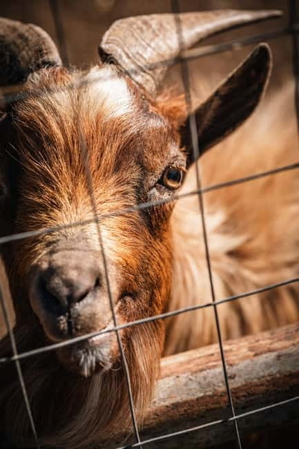 Salento: farm visit with local product tasting - Practical Details and Logistics