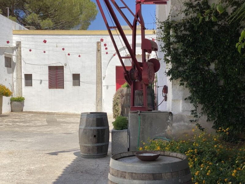Salento: Winery Tour and Tasting - FAQ
