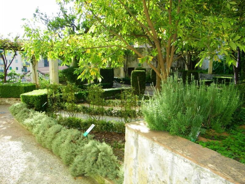 Salerno Walking Tour - Why This Tour Stands Out