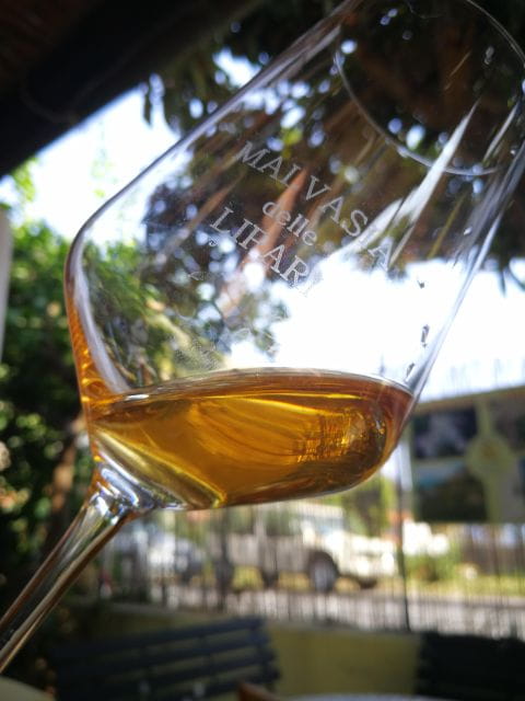 Salina Capers Experience - A Fresh Look at the Salina Capers Experience