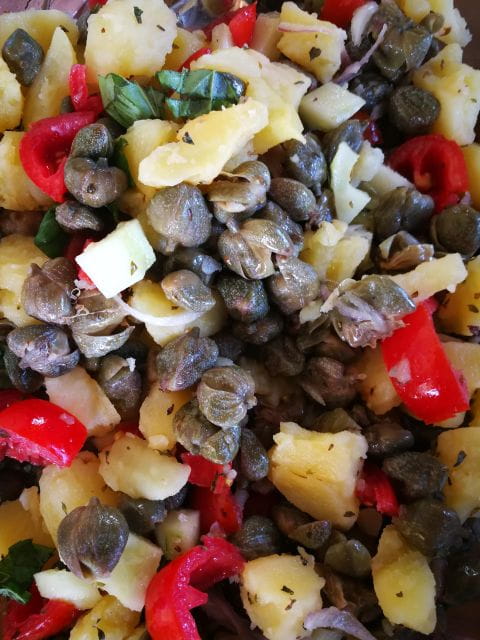 Salina Capers Experience - Key Points / Takeaways