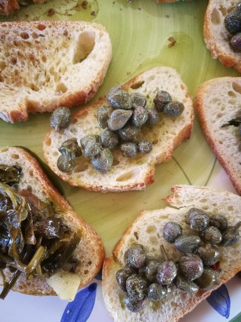 Salina Capers Experience - Visiting the Farm and Cellar: A Look Behind the Scenes