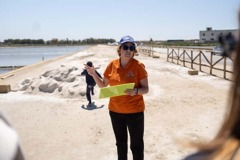 Salina Maria Stella di Trapani: Birdwatching in search of flamingos - Salina Maria Stella di Trapani: Birdwatching in search of flamingos