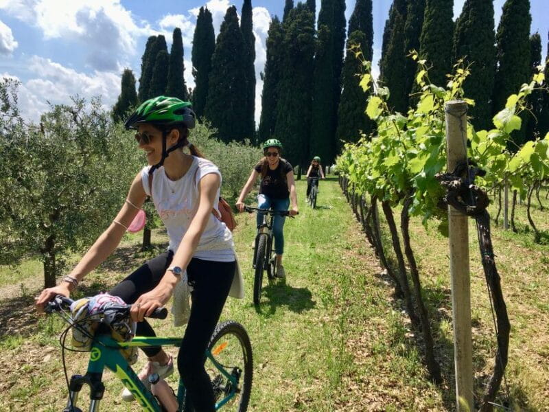 Salò: e-bike tour with wine tasting on Valtenesi Hills - Key Points / Takeaways