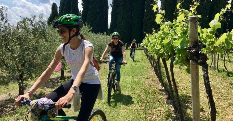 Salò: e-bike tour with wine tasting on Valtenesi Hills - Logistics and Practical Tips