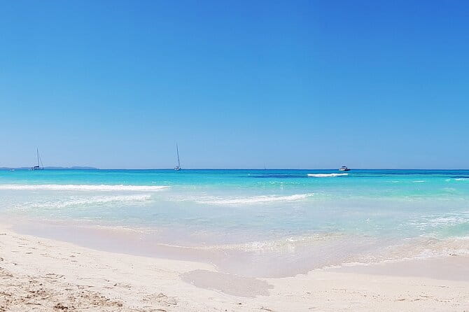 Salobrar Natural Park - Es Trenc Beach - Key points / Takeaways