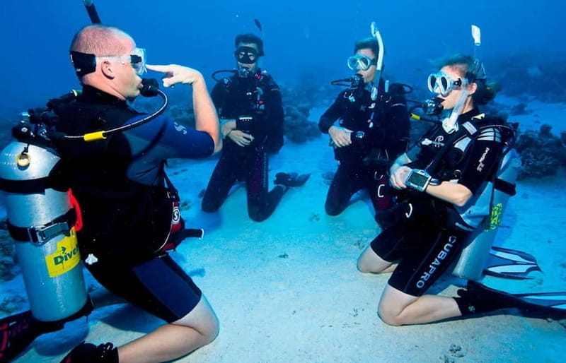 Salou: Fun Scuba Dive with Instructor (No License Needed) - Key points / Takeaways