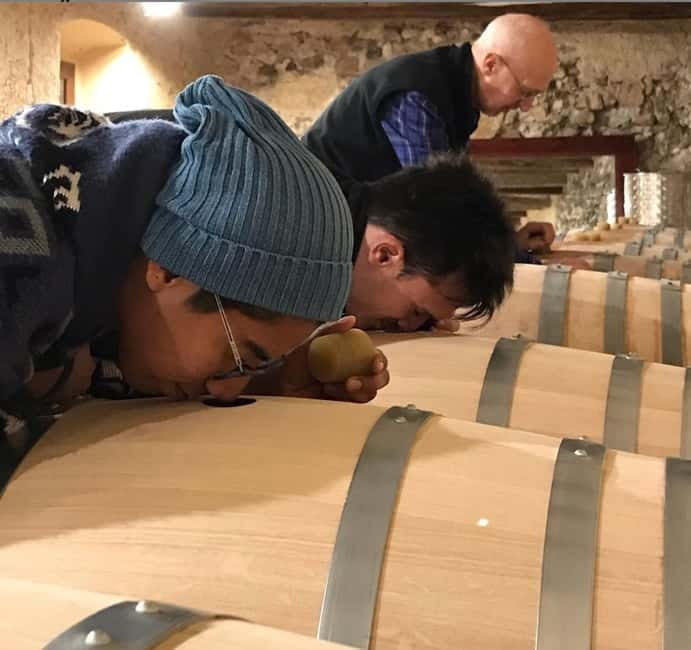 Salou: Priorat tasting Wine-Cellar Tour with hotel pickup - Key points / Takeaways