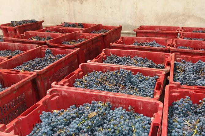 Salt Mine, the Muddy Volcanoes and Wine Tasting Private Day Tour From Bucharest! - Recommended Attire for Mud Volcanoes