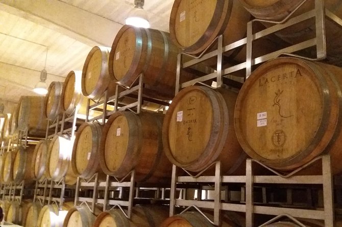 Salt Mine, the Muddy Volcanoes and Wine Tasting Private Day Tour From Bucharest! - Tour Inclusions and Transportation