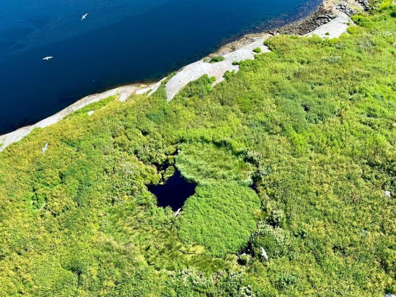 Saltstraumen: Arctic Adventure and Scenic Journey - A Deep Dive into Saltstraumens Arctic Charm