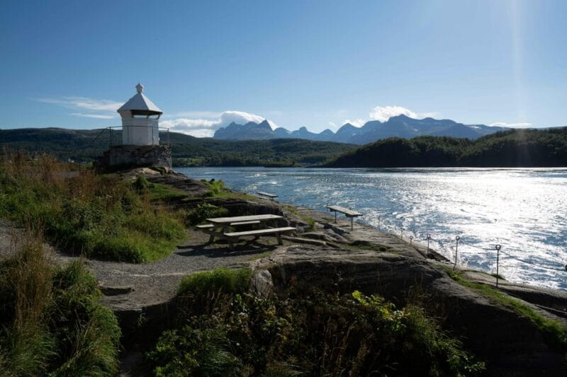 Saltstraumen: Arctic Adventure and Scenic Journey - Who Should Book?