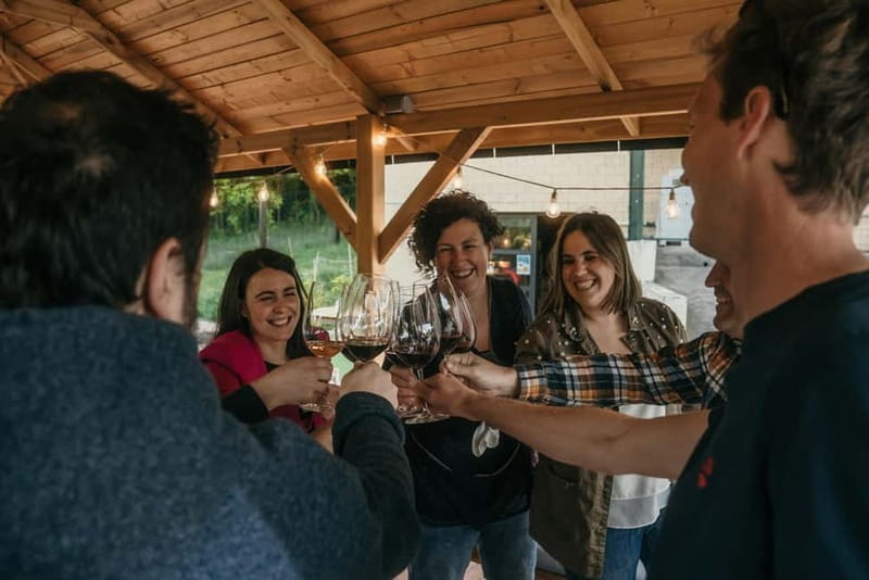 Samaniego: Visit the 3 Alútiz Wineries and taste their wines - Key Points / Takeaways