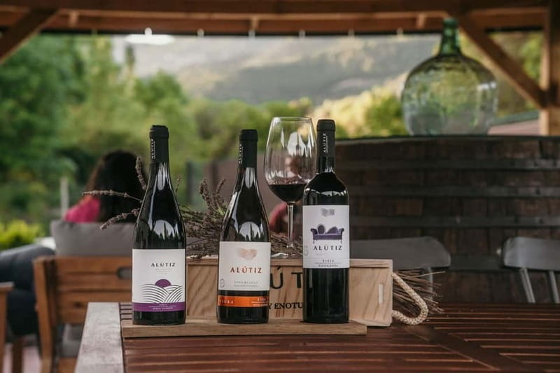 Samaniego: Visit the 3 Alútiz Wineries and taste their wines - Exploring the Heart of Bodegas Alútiz in Samaniego
