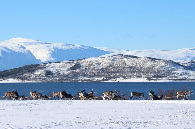 Sami Culture and Short Reindeer Sledding From Tromso - Sami Culture Immersion